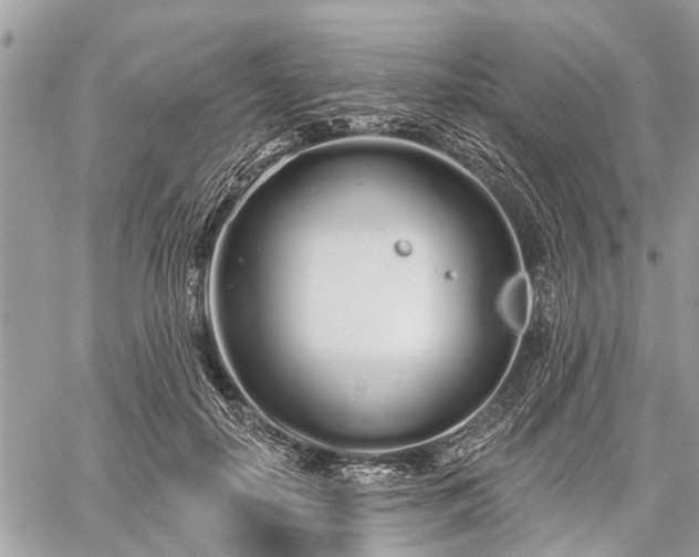 X0000060760650200511141232