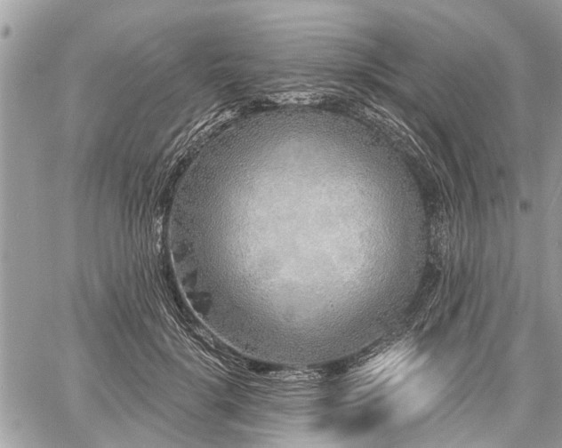 X0000060760652200511141232