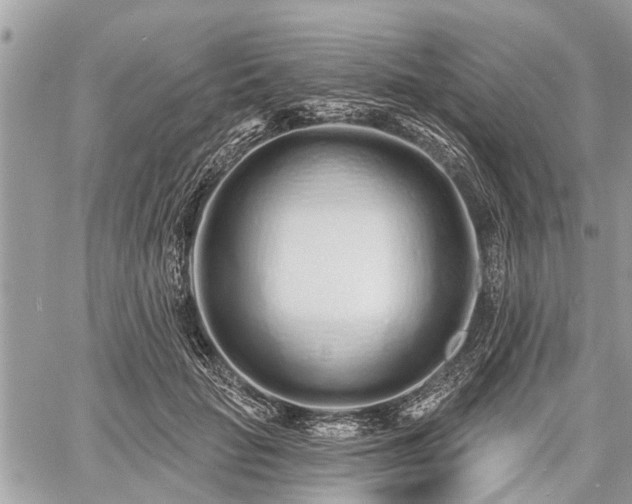 X0000060760653200511141232