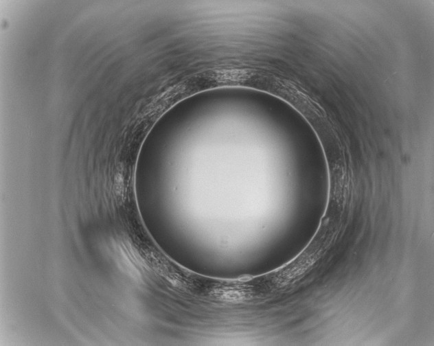 X0000060760655200511141232