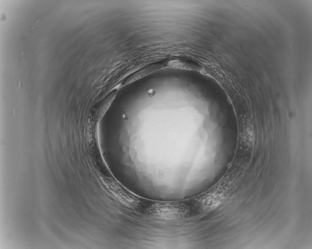 X0000060760658200511141232