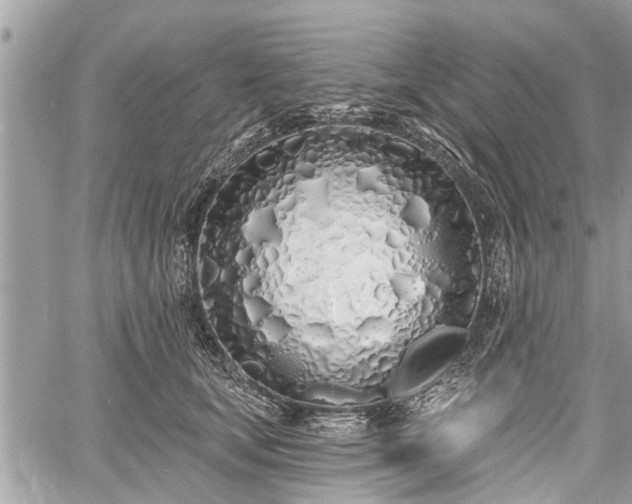 X0000060760659200511141232