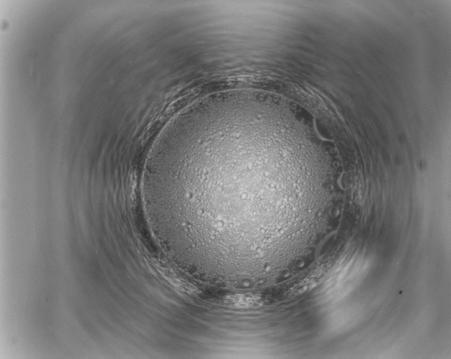 X0000060760660200511141232