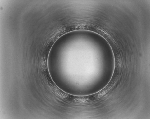 X0000060760661200511141232