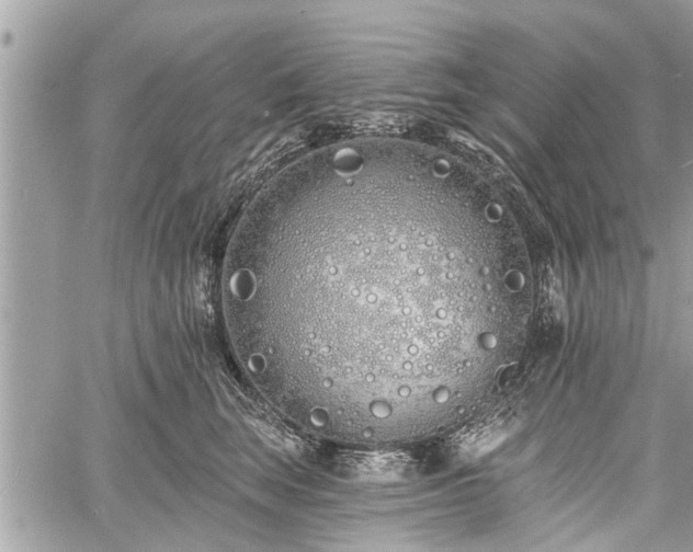 X0000060760663200511141232