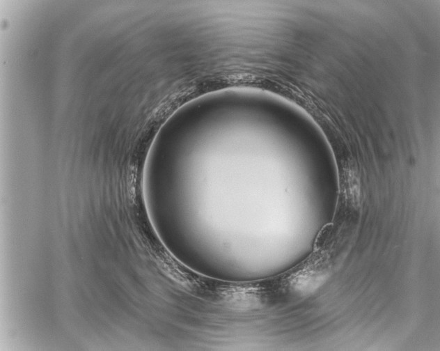 X0000060760664200511141232