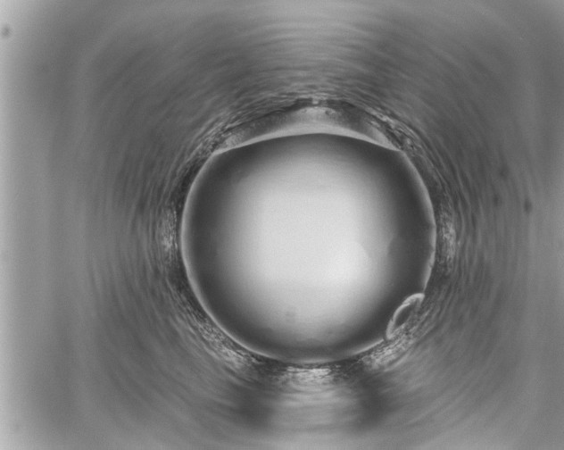 X0000060760665200511141232