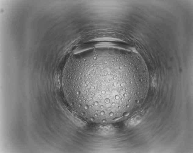 X0000060760666200511141232