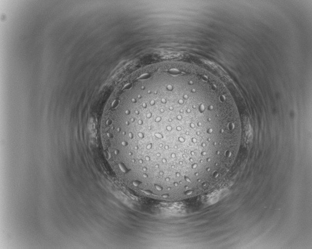 X0000060760667200511141232