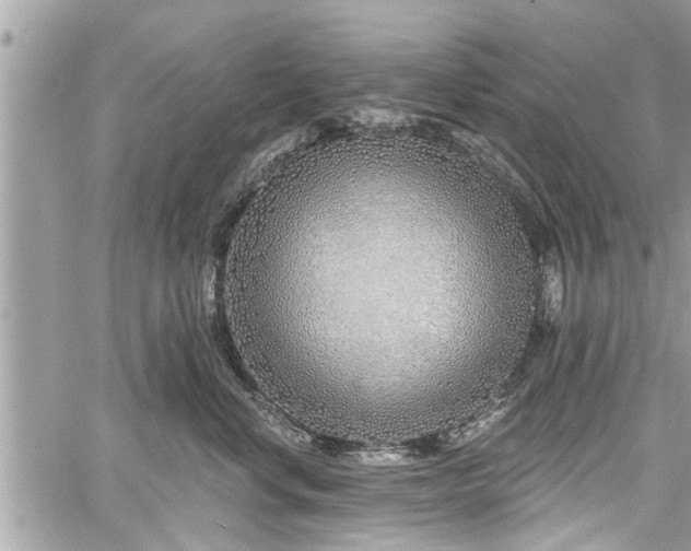 X0000060760668200511141232