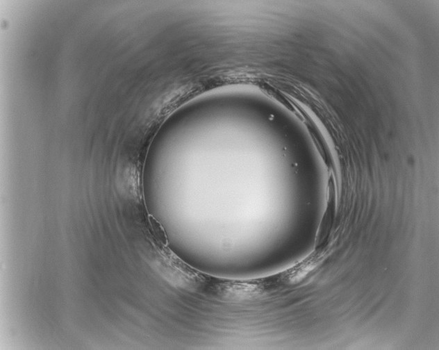 X0000060760669200511141232