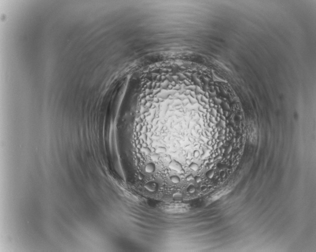 X0000060760670200511141233