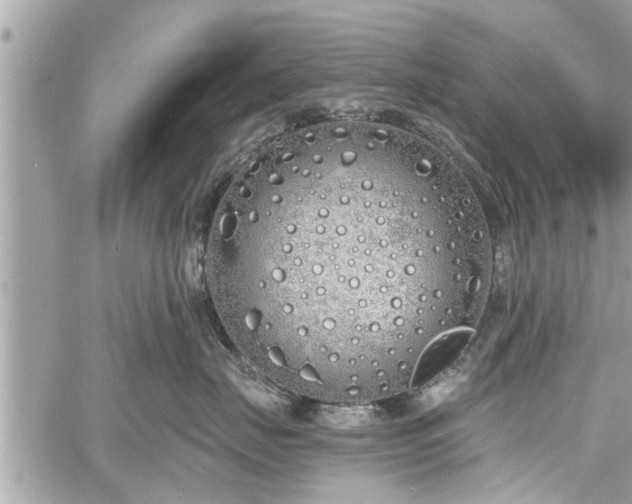 X0000060760671200511141233