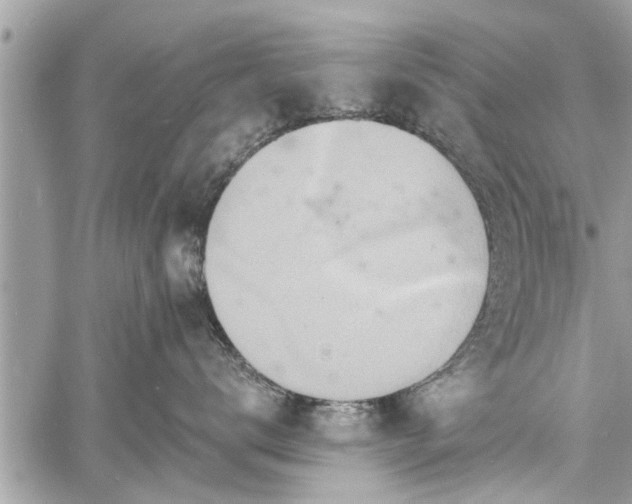 X0000060760672200511141233