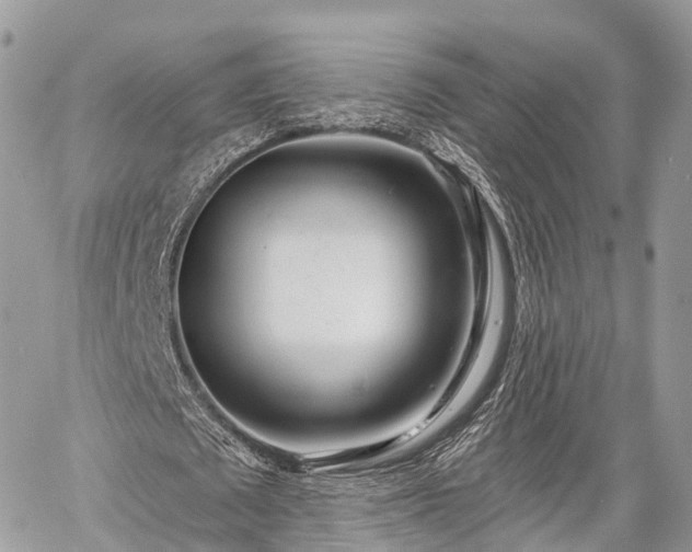 X0000060760673200511141232