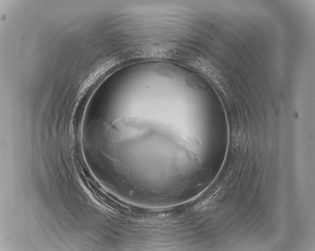 X0000060760674200511141232