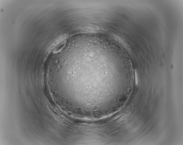 X0000060760675200511141232