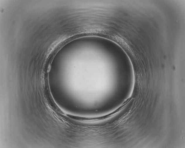 X0000060760676200511141232