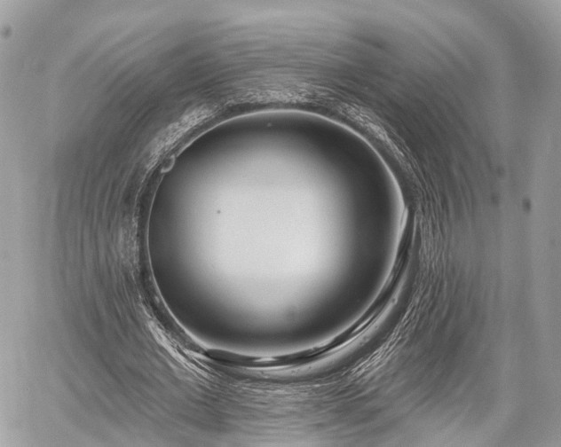 X0000060760677200511141232