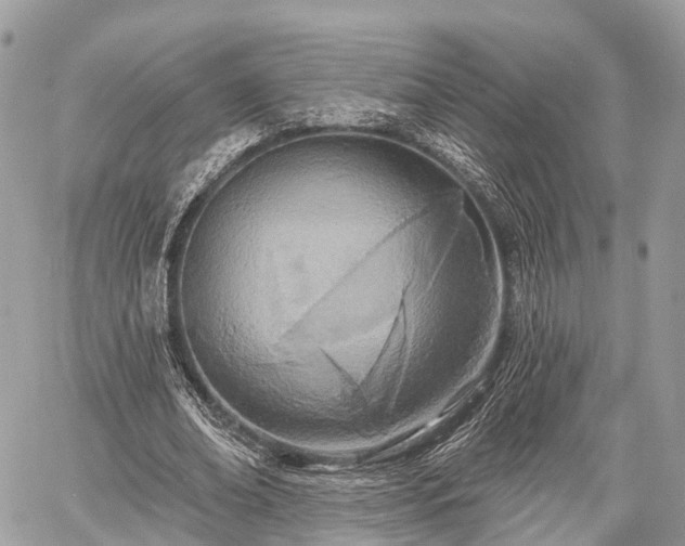 X0000060760678200511141232