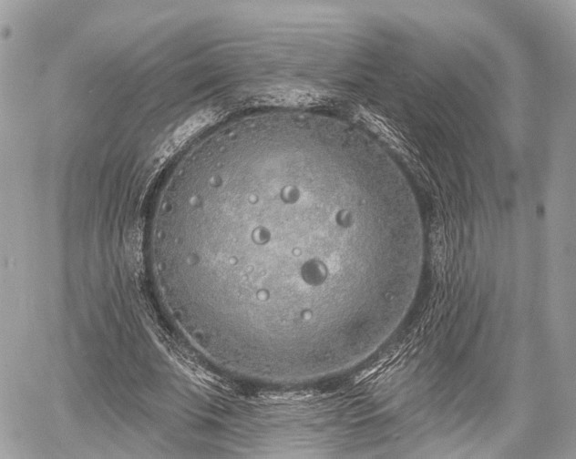 X0000060760679200511141232