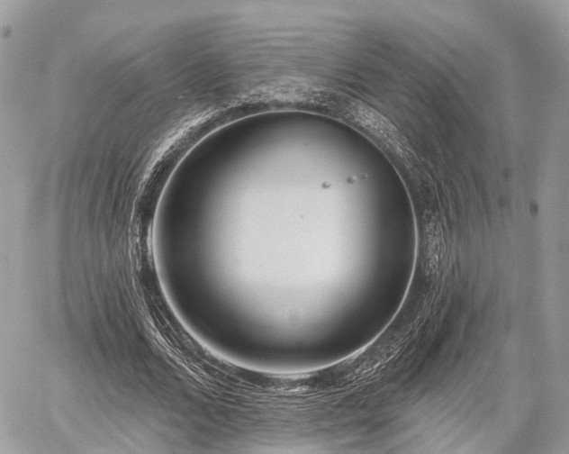 X0000060760680200511141232