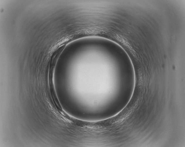 X0000060760681200511141232