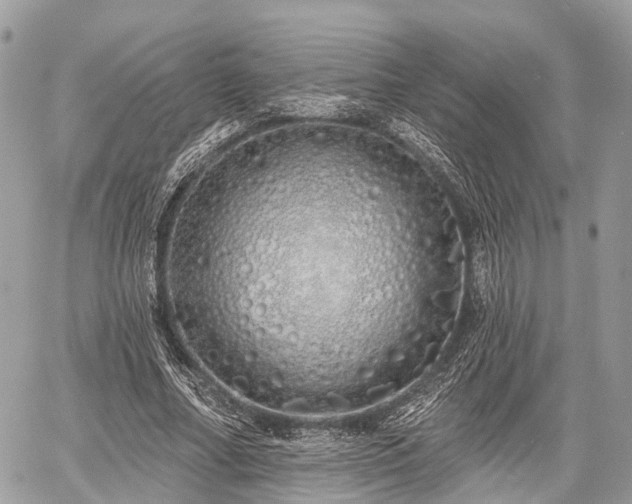 X0000060760682200511141232