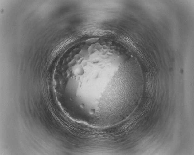 X0000060760683200511141232