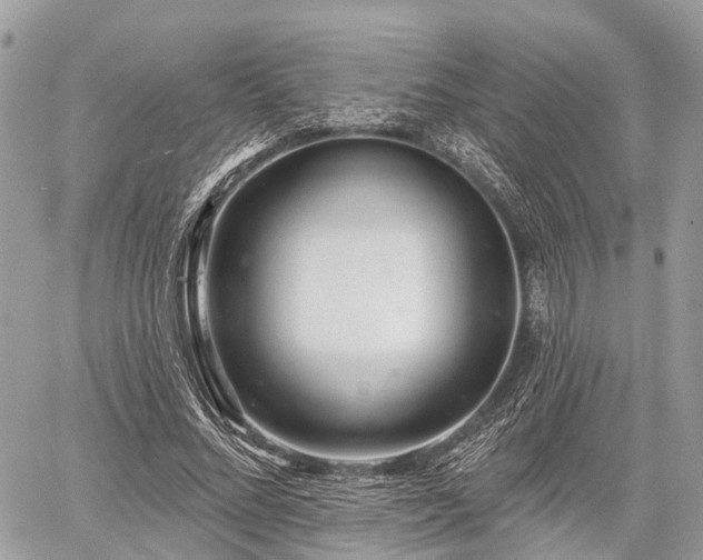 X0000060760684200511141232