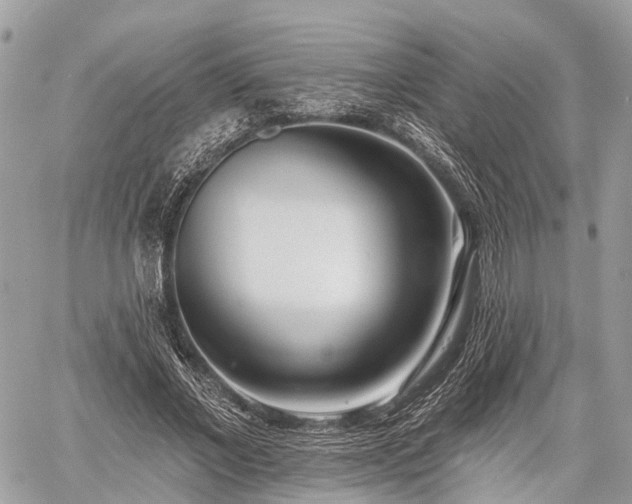 X0000060760685200511141232