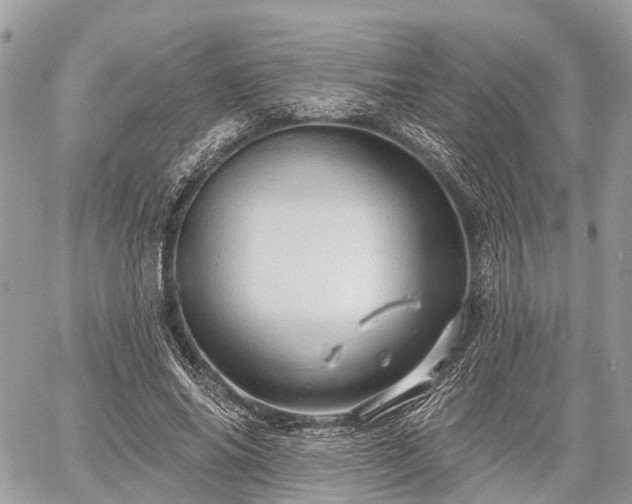 X0000060760686200511141232