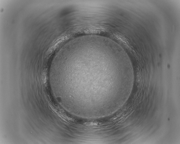 X0000060760687200511141231