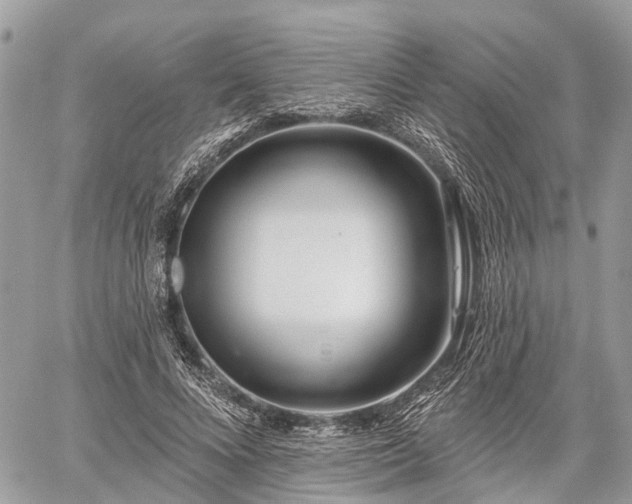 X0000060760688200511141231