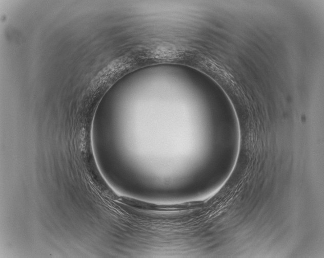 X0000060760689200511141231