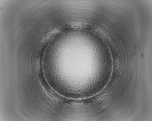 X0000060760690200511141231