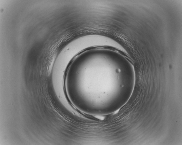 X0000060760691200511141231