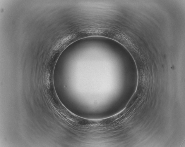 X0000060760692200511141231