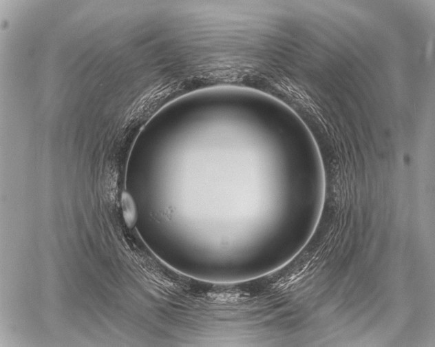 X0000060760693200511141231