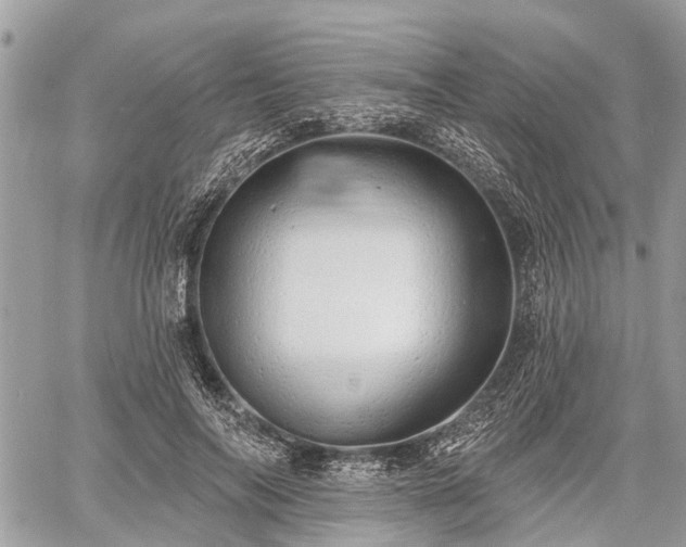 X0000060760694200511141231