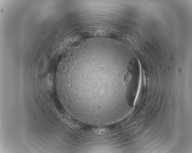 X0000060760695200511141231