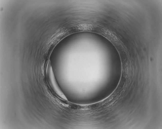 X0000060760696200511141231