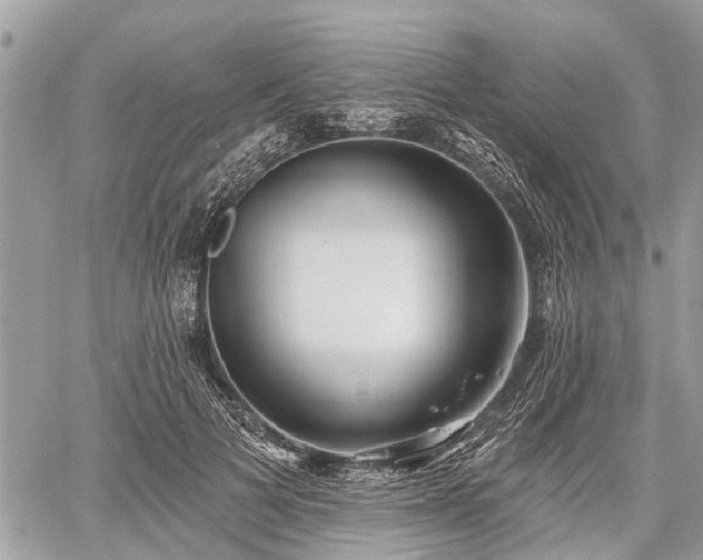 X0000060760697200511141231