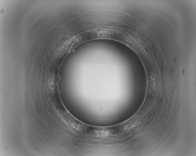 X0000060760698200511141231