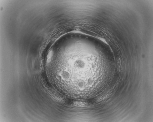 X0000060760699200511141231