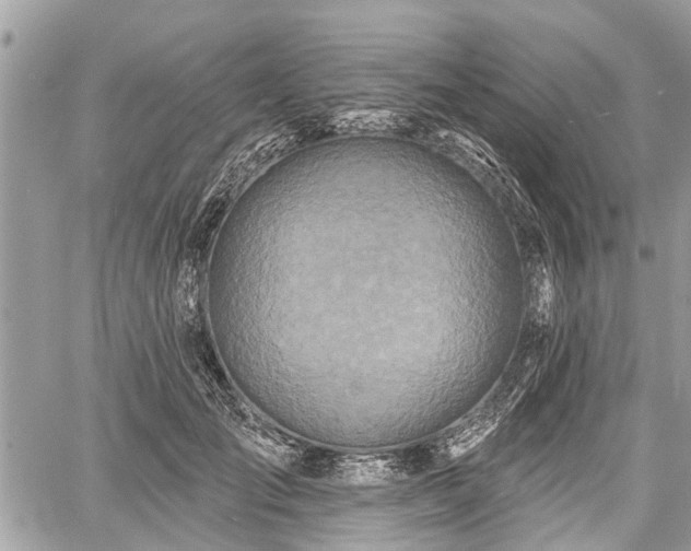 X0000060760701200511141231