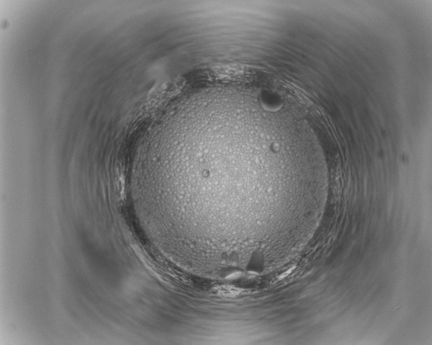 X0000060760703200511141231