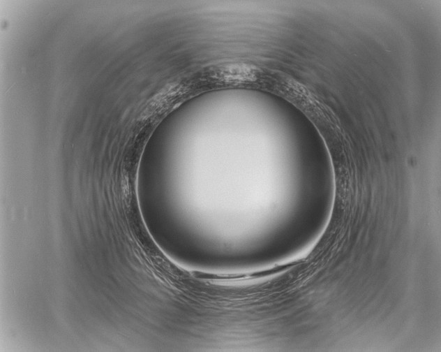 X0000060760704200511141231