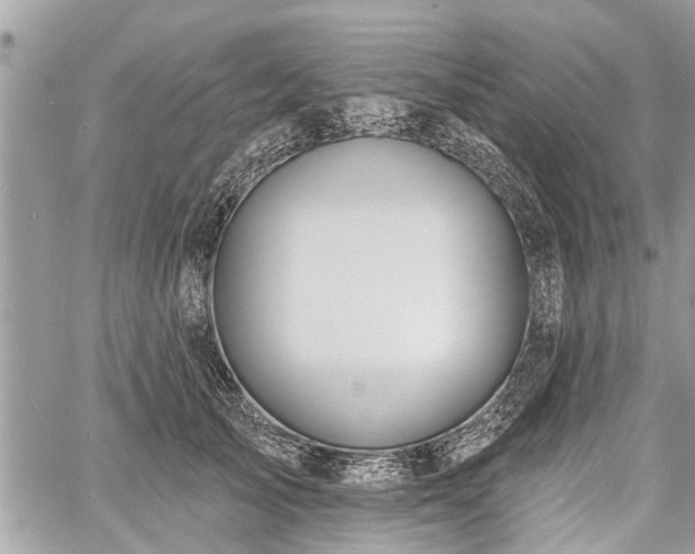 X0000060760705200511141231