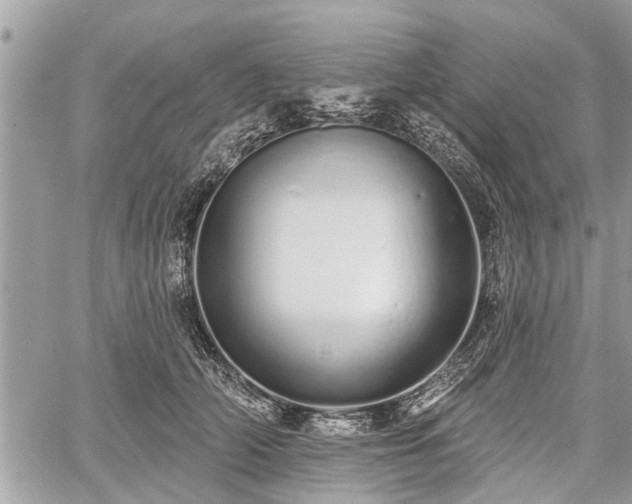 X0000060760706200511141231